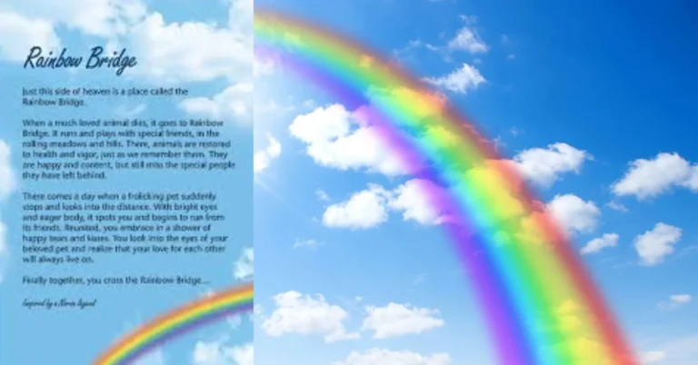 Rainbow Bridge Poem