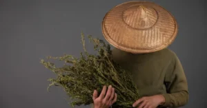 Tépi refers to a plant genus or specific herb known in indigenous and rural traditions for its soothing, balancing, and tonic effects.