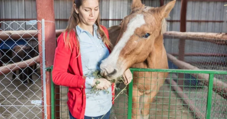 Stables tape is a specialized adhesive or self-adhering band designed primarily for use in equestrian environments, though its applications extend beyond horses to livestock, veterinary care, and even specialized agriculture.